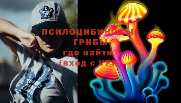 прущая мука Белокуриха