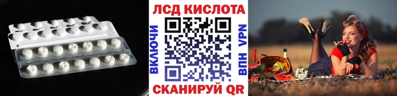 Лсд 25 экстази ecstasy  гидра ССЫЛКА  Ельня  наркота 